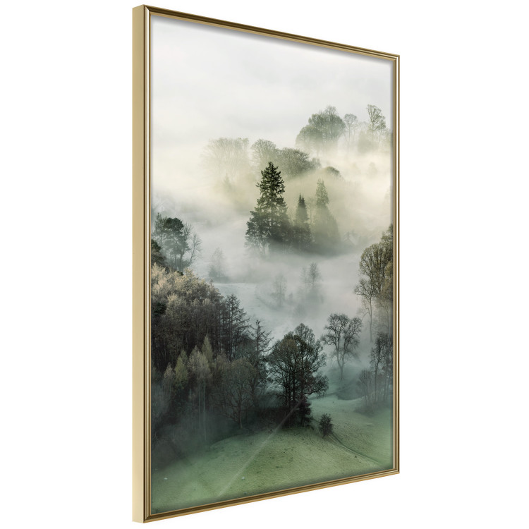 Poster Morning Chill - landscape of trees surrounded by dense fog against the sky 130291 additionalImage 5