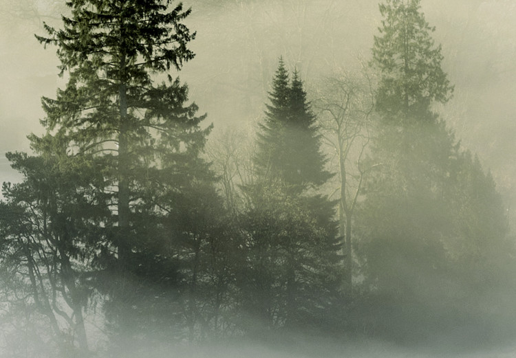 Poster Morning Chill - landscape of trees surrounded by dense fog against the sky 130291 additionalImage 2
