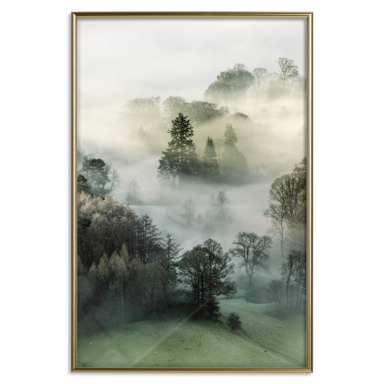 Poster Morning Chill - landscape of trees surrounded by dense fog against the sky 130291 additionalImage 18