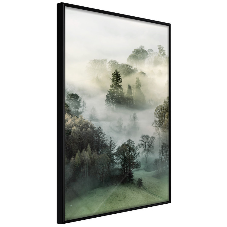 Poster Morning Chill - landscape of trees surrounded by dense fog against the sky 130291 additionalImage 4