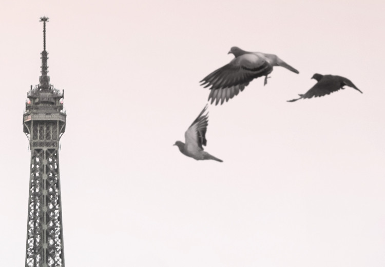 Canvas Print Birds over the city - black-white photo with Eiffel Tower in offset 132291 additionalImage 5