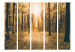Room Separator Magical Light II (5-piece) - sepia-toned landscape of autumn trees 132891 additionalThumb 3