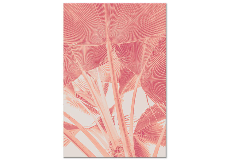 Canvas Pink palm - overexposed image of palm leaves in pink 134991