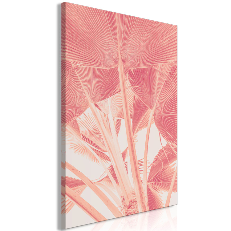 Canvas Pink palm - overexposed image of palm leaves in pink 134991 additionalImage 2