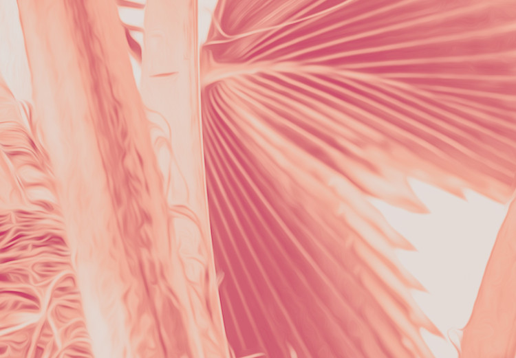 Canvas Pink palm - overexposed image of palm leaves in pink 134991 additionalImage 4