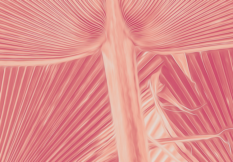 Canvas Pink palm - overexposed image of palm leaves in pink 134991 additionalImage 5