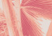 Canvas Pink palm - overexposed image of palm leaves in pink 134991 additionalThumb 4