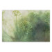 Wall Poster May Meadow - green composition of meadow and flowers in bright light 135791