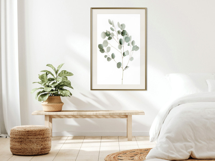 Poster Silver Eucalyptus - simple composition with green leaves on a white background 137491 additionalImage 11