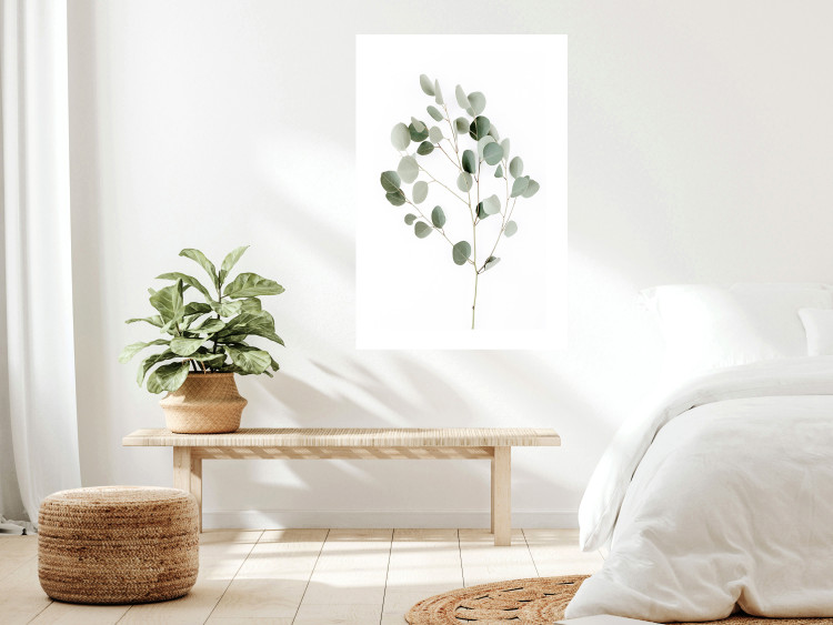 Poster Silver Eucalyptus - simple composition with green leaves on a white background 137491 additionalImage 17
