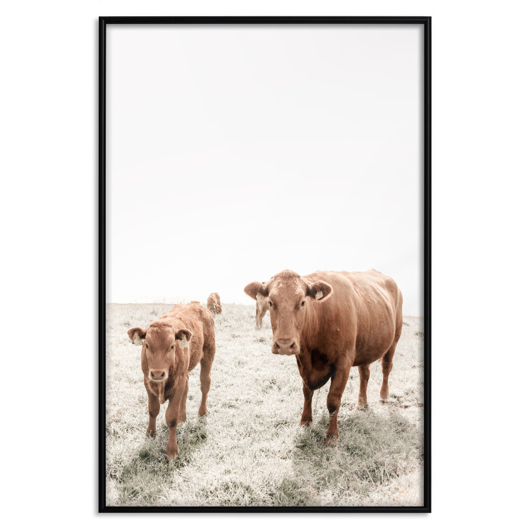 Poster Mother and Calf - domestic animals against a rural landscape 137691 additionalImage 6