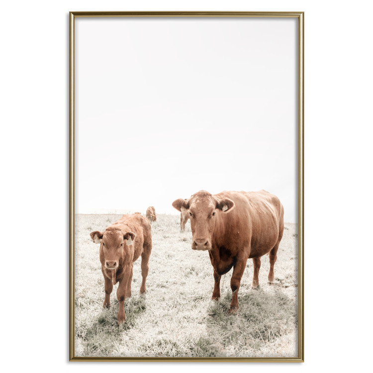 Poster Mother and Calf - domestic animals against a rural landscape 137691 additionalImage 6