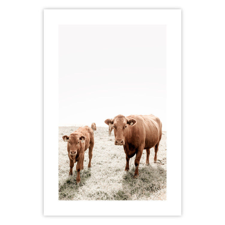 Poster Mother and Calf - domestic animals against a rural landscape 137691 additionalImage 7