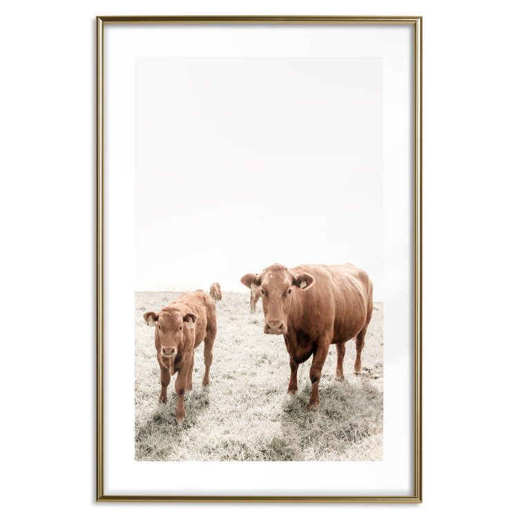 Poster Mother and Calf - domestic animals against a rural landscape 137691 additionalImage 2