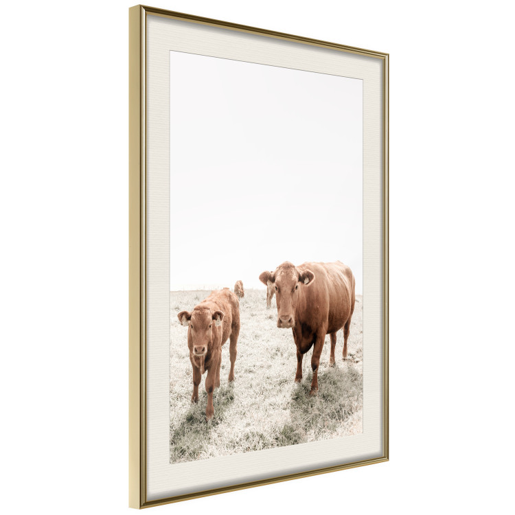 Poster Mother and Calf - domestic animals against a rural landscape 137691 additionalImage 19
