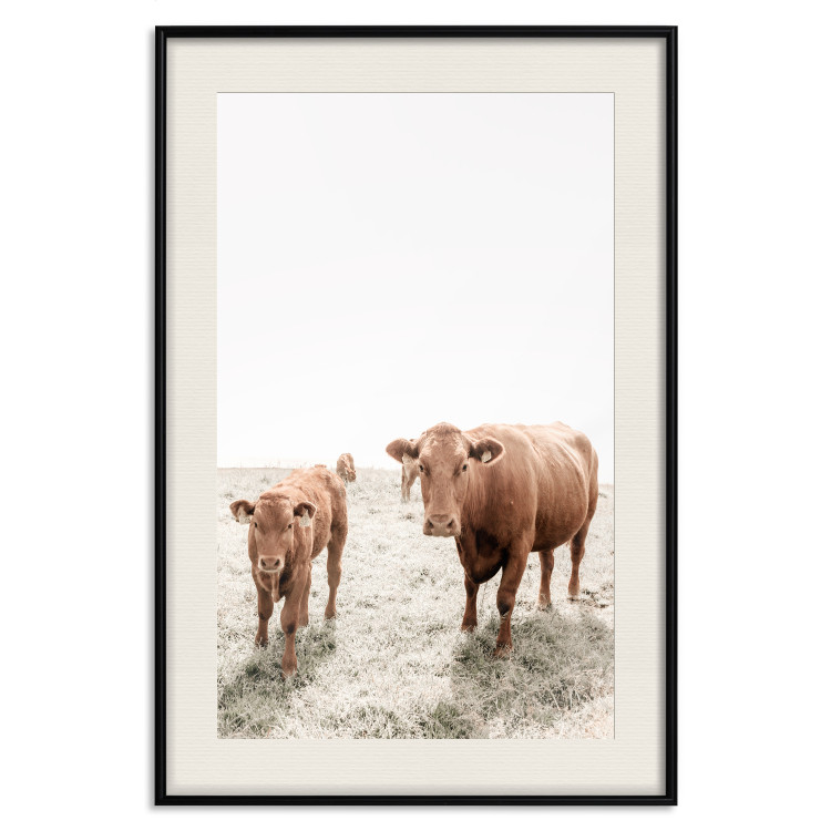 Poster Mother and Calf - domestic animals against a rural landscape 137691 additionalImage 3