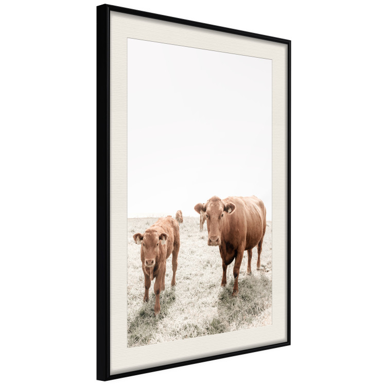 Poster Mother and Calf - domestic animals against a rural landscape 137691 additionalImage 20