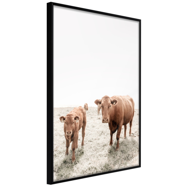 Poster Mother and Calf - domestic animals against a rural landscape 137691 additionalImage 15
