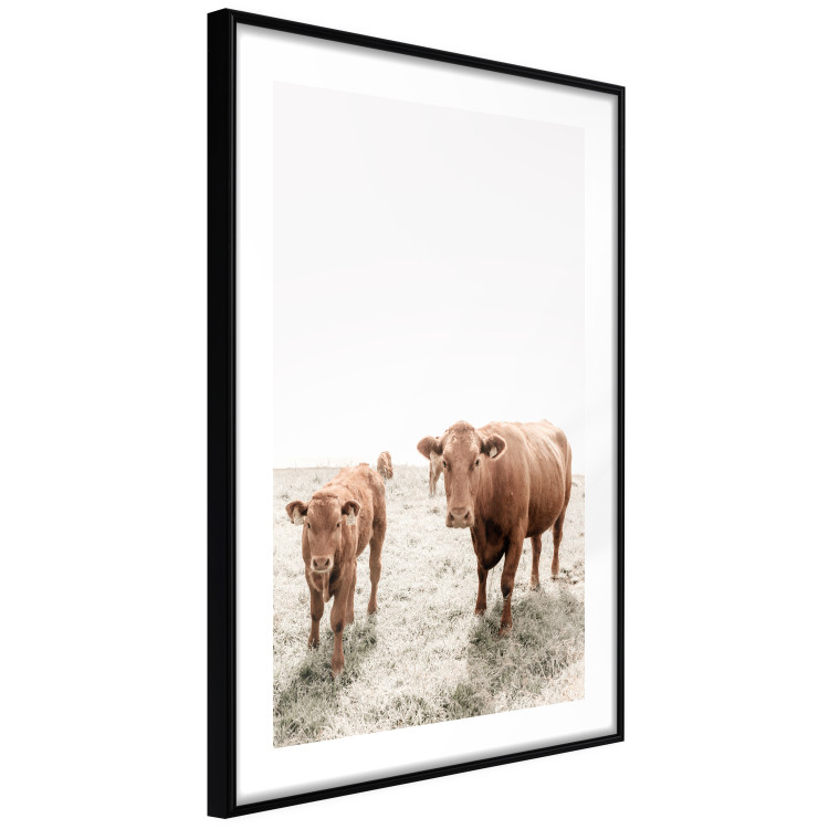 Poster Mother and Calf - domestic animals against a rural landscape 137691 additionalImage 21