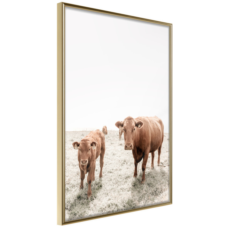 Poster Mother and Calf - domestic animals against a rural landscape 137691 additionalImage 23