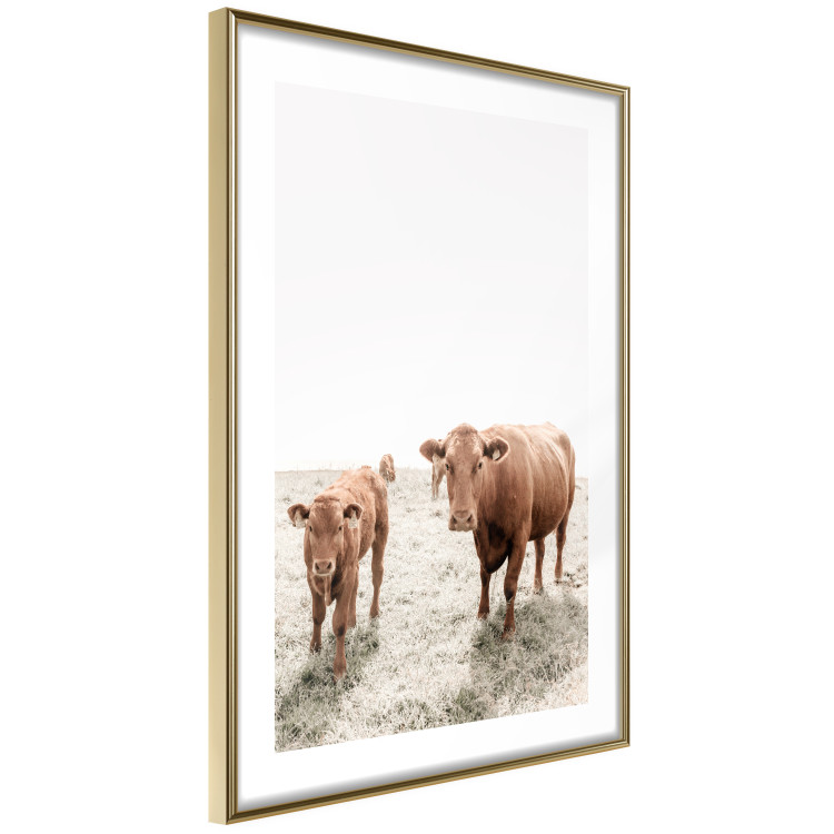Poster Mother and Calf - domestic animals against a rural landscape 137691 additionalImage 27