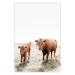 Poster Mother and Calf - domestic animals against a rural landscape 137691