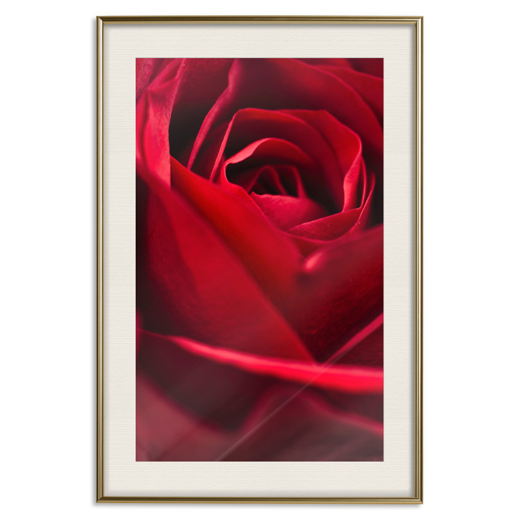 Poster Delicate Flower - Close-up Photo of Red Rose Petals 144591 additionalImage 26