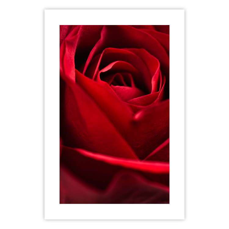 Poster Delicate Flower - Close-up Photo of Red Rose Petals 144591 additionalImage 23