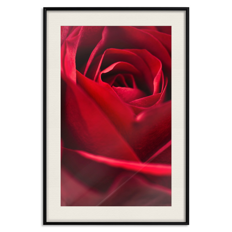 Poster Delicate Flower - Close-up Photo of Red Rose Petals 144591 additionalImage 27