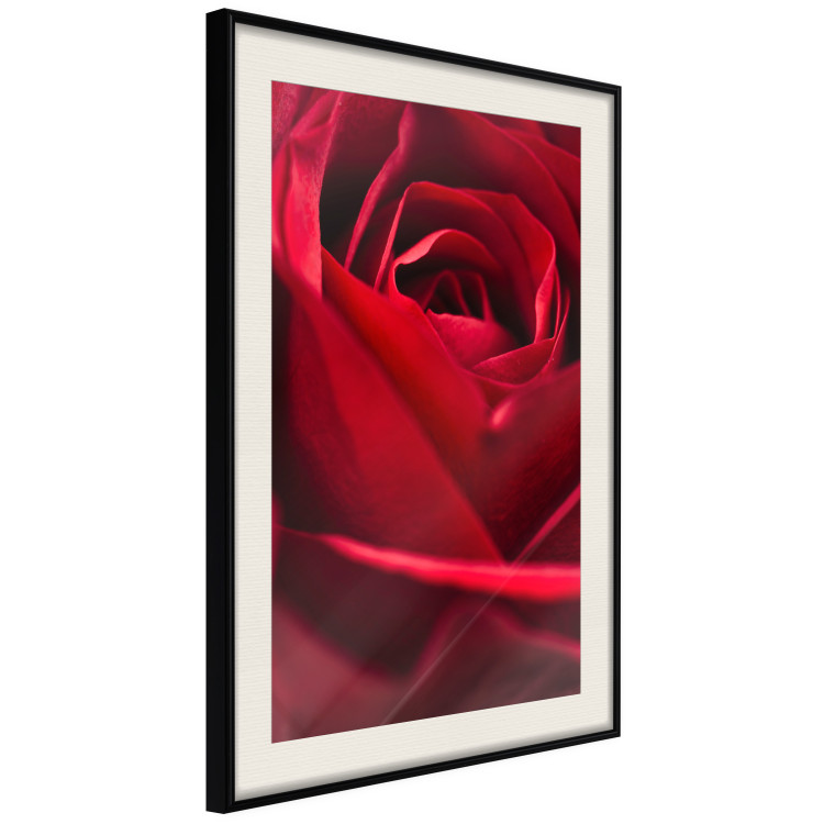 Poster Delicate Flower - Close-up Photo of Red Rose Petals 144591 additionalImage 9