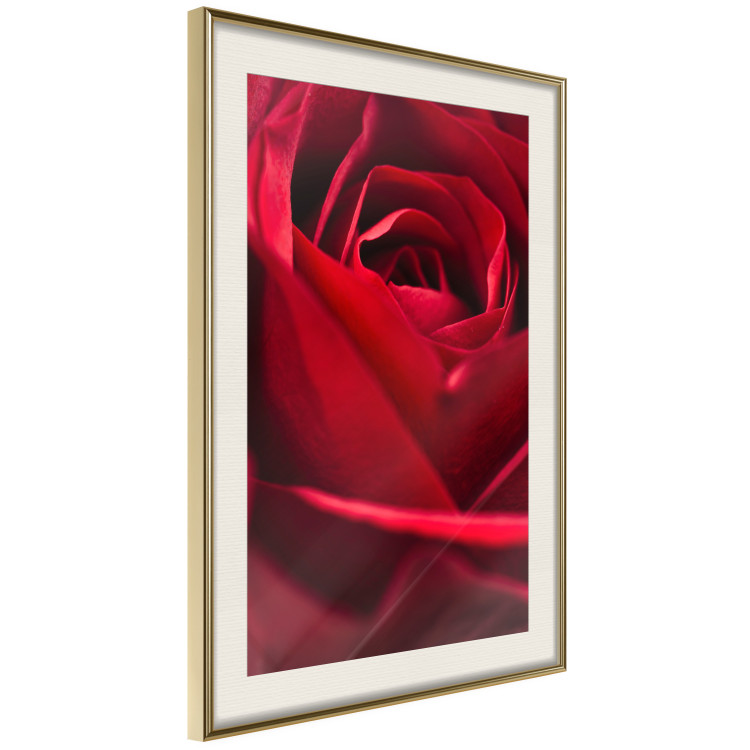 Poster Delicate Flower - Close-up Photo of Red Rose Petals 144591 additionalImage 15