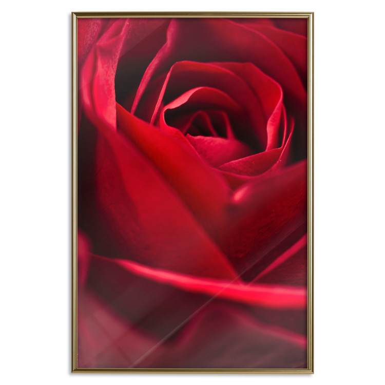 Poster Delicate Flower - Close-up Photo of Red Rose Petals 144591 additionalImage 22