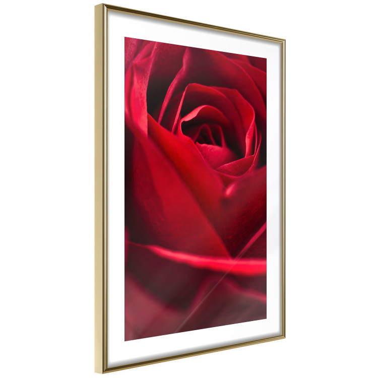Poster Delicate Flower - Close-up Photo of Red Rose Petals 144591 additionalImage 4