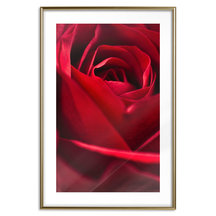 Poster Delicate Flower - Close-up Photo of Red Rose Petals 144591 additionalImage 25