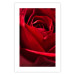Poster Delicate Flower - Close-up Photo of Red Rose Petals 144591 additionalThumb 23