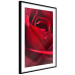 Poster Delicate Flower - Close-up Photo of Red Rose Petals 144591 additionalThumb 8