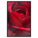 Poster Delicate Flower - Close-up Photo of Red Rose Petals 144591 additionalThumb 19