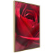 Poster Delicate Flower - Close-up Photo of Red Rose Petals 144591 additionalThumb 6