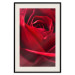 Poster Delicate Flower - Close-up Photo of Red Rose Petals 144591 additionalThumb 27