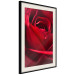Poster Delicate Flower - Close-up Photo of Red Rose Petals 144591 additionalThumb 9