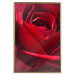 Poster Delicate Flower - Close-up Photo of Red Rose Petals 144591 additionalThumb 22
