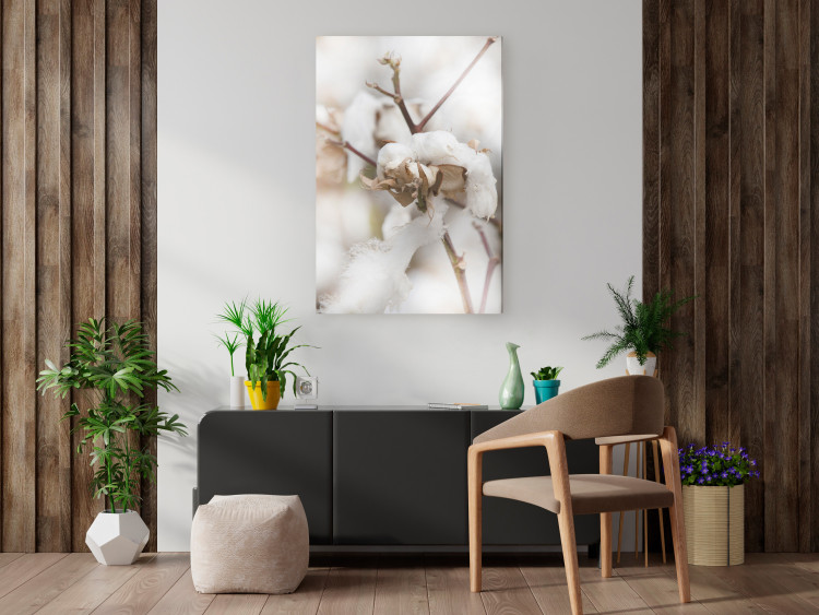 Canvas Cotton Twigs - Natural Photo of a Plant in the Style of a Boho 146391 additionalImage 3
