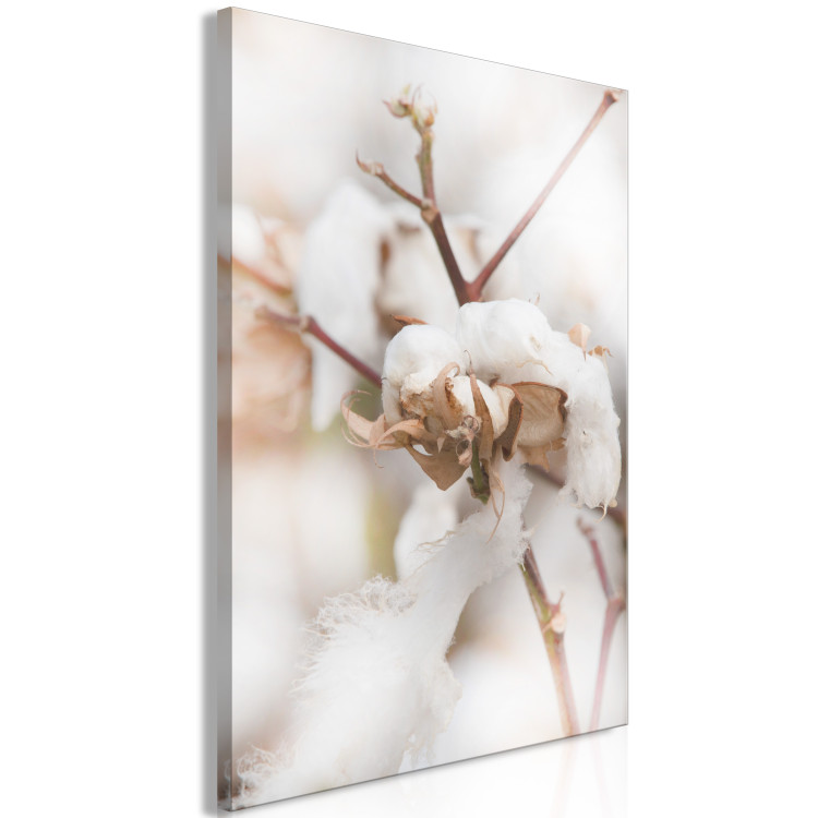 Canvas Cotton Twigs - Natural Photo of a Plant in the Style of a Boho 146391 additionalImage 2