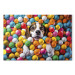 Canvas AI Beagle Dog - Animal Sunk in Colorful Balls - Horizontal 150291