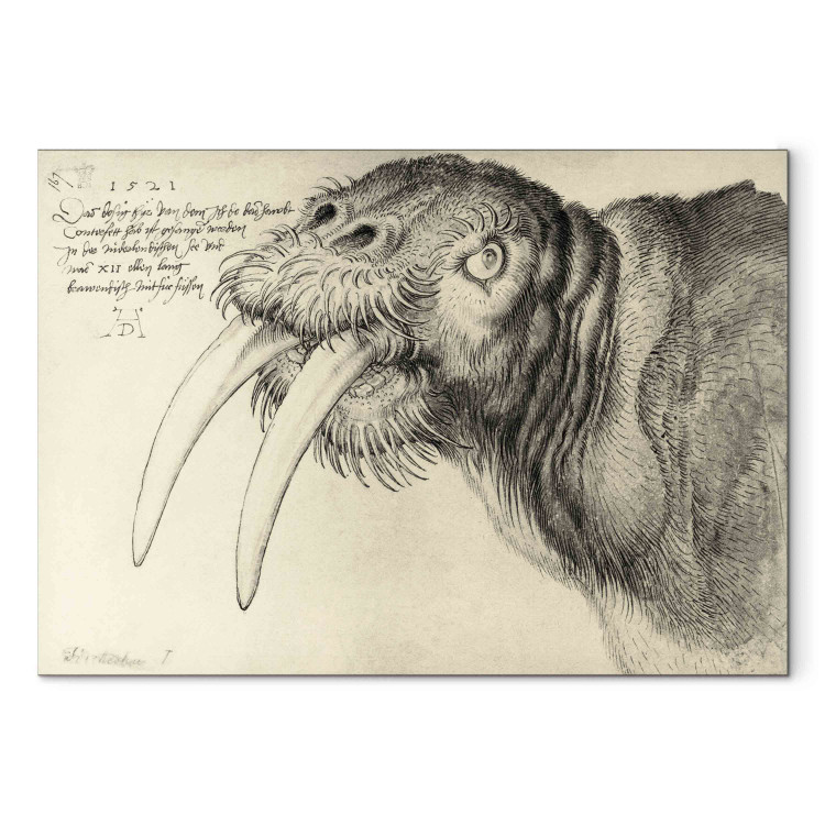 Reproduction Painting Head of a walrus 152691