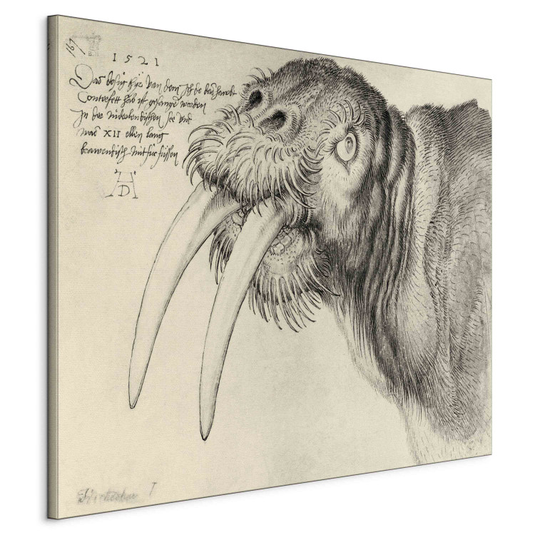 Reproduction Painting Head of a walrus 152691 additionalImage 2