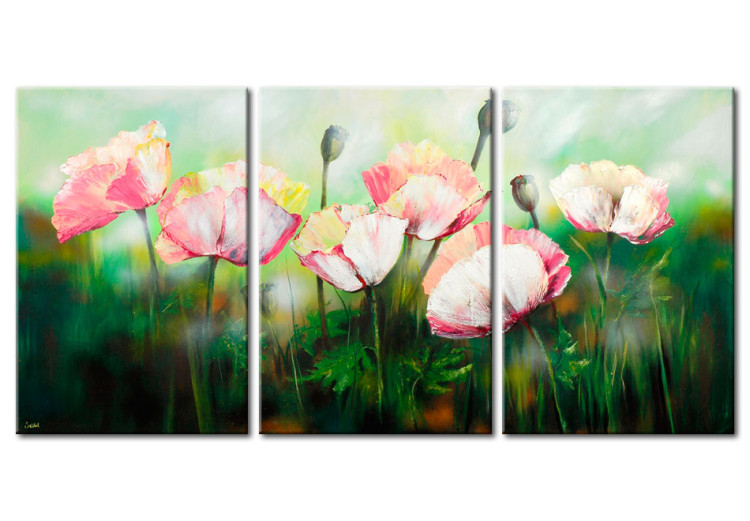 Canvas Meadow Full of Pale Poppies (3-piece) - flowers on a green grass background 47391