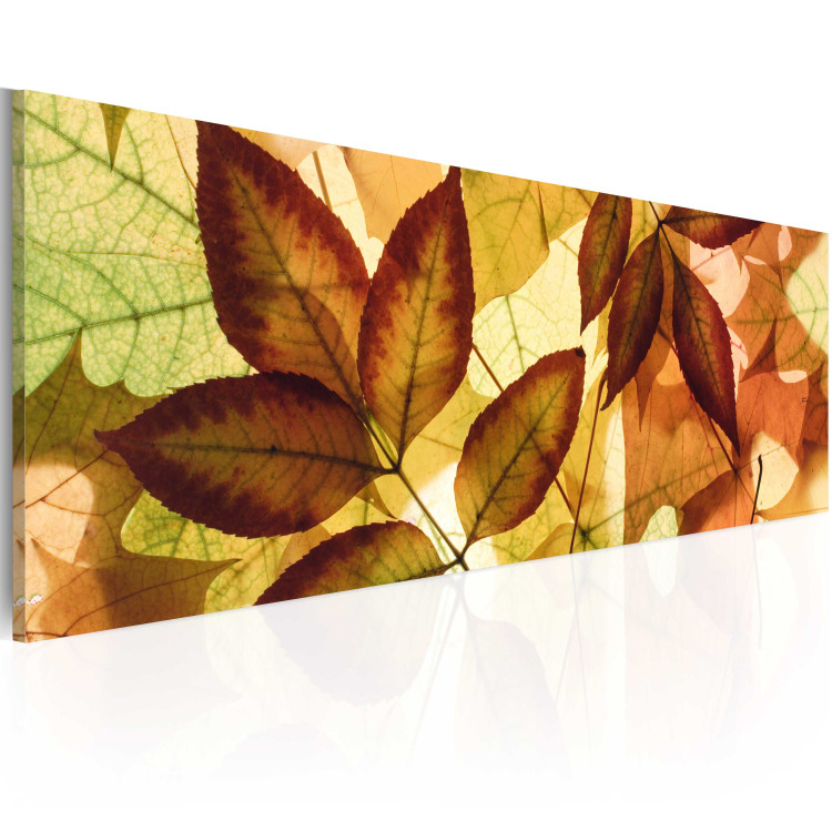 Canvas Collage - leaves 50591 additionalImage 2