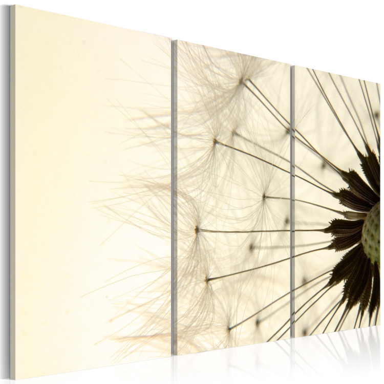 Canvas Print The lightness and the transience of a dandelion 58591 additionalImage 2