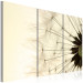 Canvas Print The lightness and the transience of a dandelion 58591 additionalThumb 2